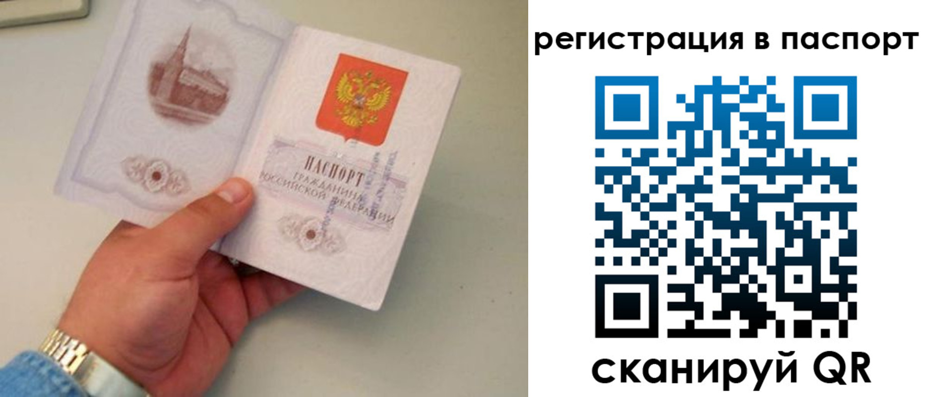 прописка паспорт в Брянске